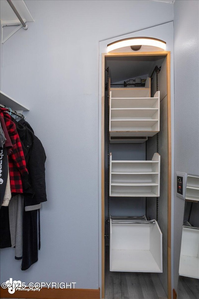 walk in closet with hardwood / wood-style flooring