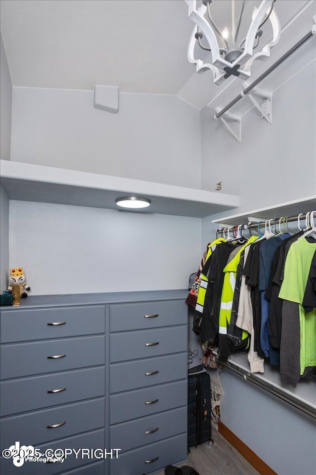 spacious closet with an inviting chandelier, lofted ceiling, and dark hardwood / wood-style floors