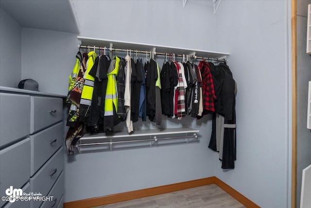 spacious closet with light hardwood / wood-style flooring