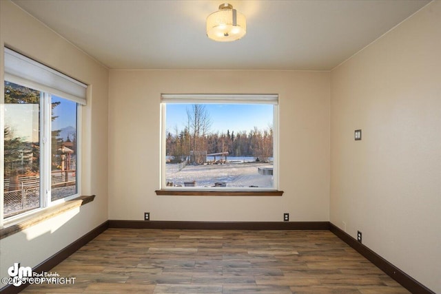 spare room featuring hardwood / wood-style flooring and a healthy amount of sunlight