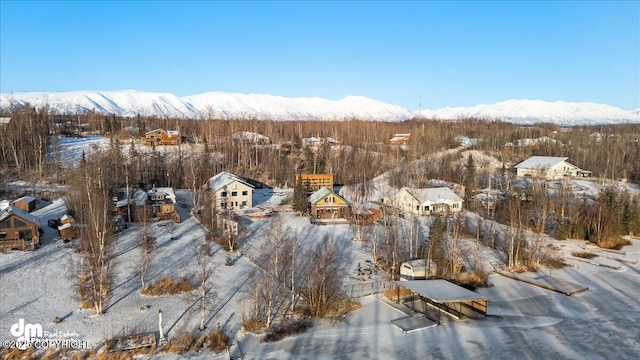 snowy aerial view featuring a mountain view