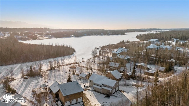 view of snowy aerial view