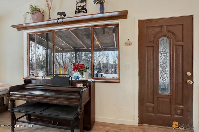 foyer entrance with hardwood / wood-style flooring