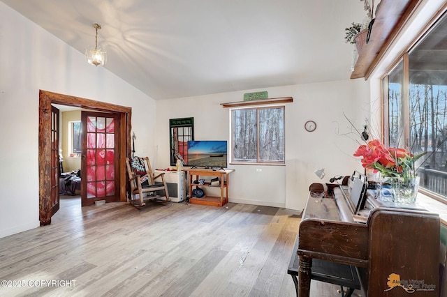 interior space with light hardwood / wood-style flooring, plenty of natural light, and vaulted ceiling