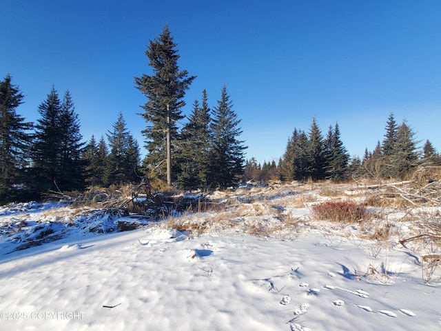 17455 Chefornak St, Ninilchik AK, 99639 land for sale