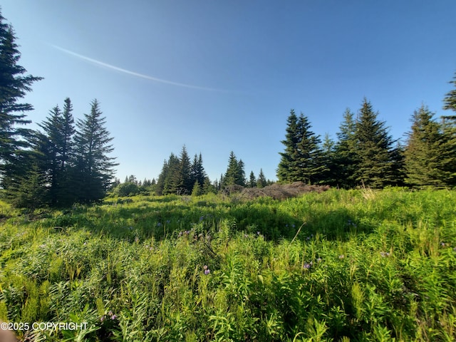 17455 Chefornak St, Ninilchik, AK 99639
