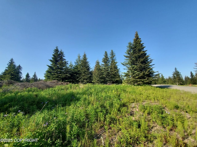 17455 Chefornak St, Ninilchik, AK 99639