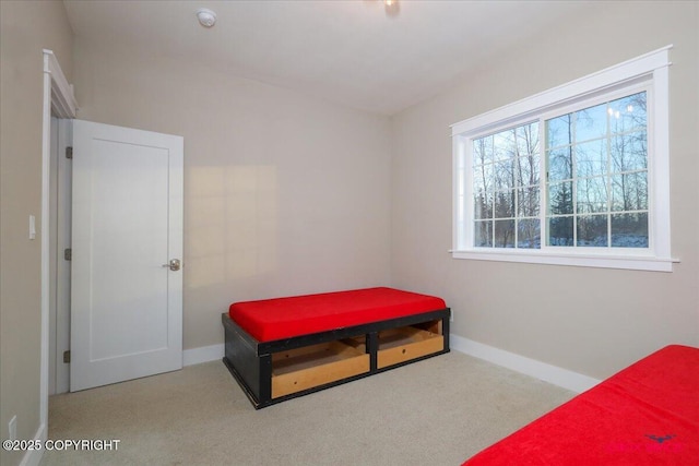 bedroom with light carpet