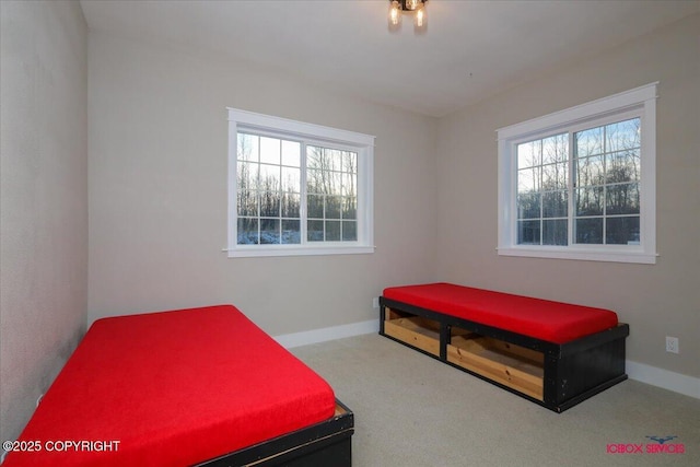 bedroom featuring light carpet and multiple windows