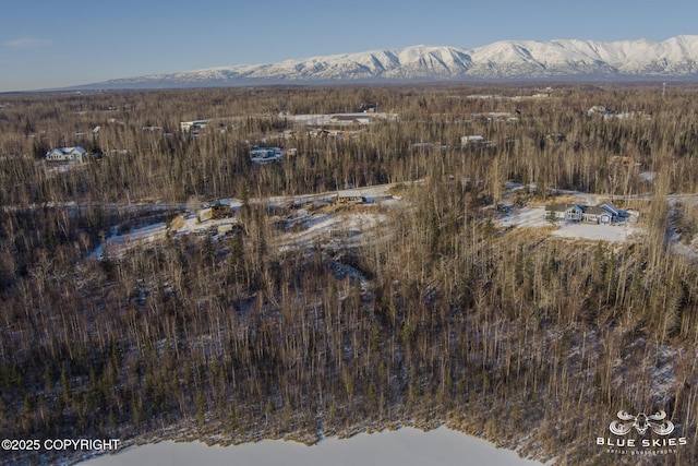 aerial view with a mountain view