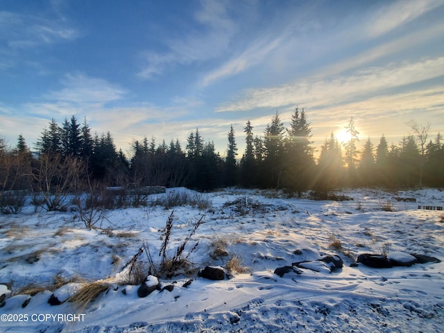 view of snowy landscape