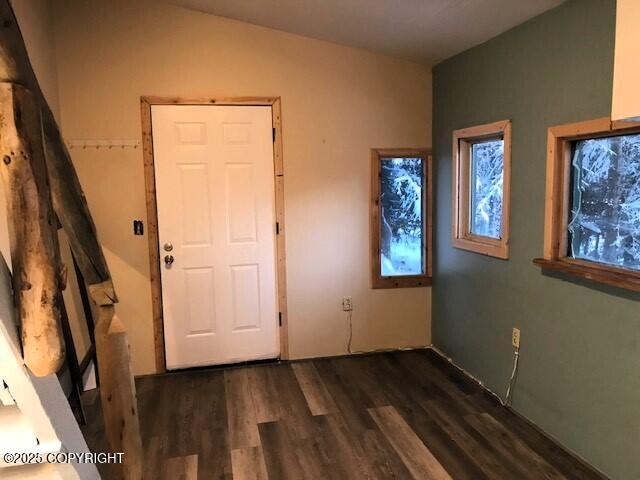 interior space featuring vaulted ceiling and dark hardwood / wood-style floors