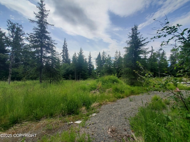 38185 Chelsey St, Homer, AK 99603 - photo 49