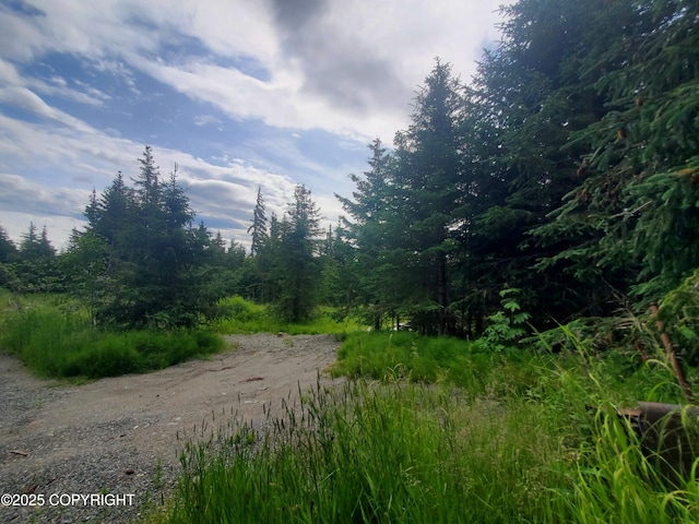 38185 Chelsey St, Homer, AK 99603 - photo 50