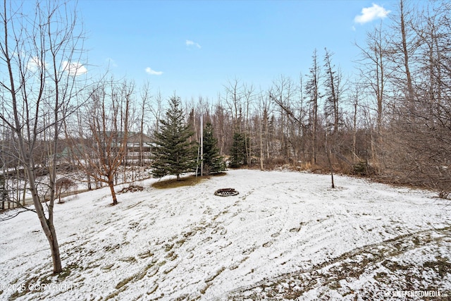 yard covered in snow with an outdoor fire pit