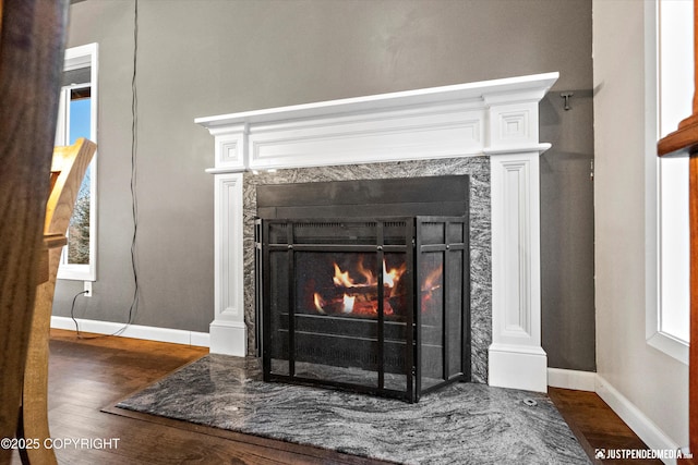 details featuring a fireplace and hardwood / wood-style floors