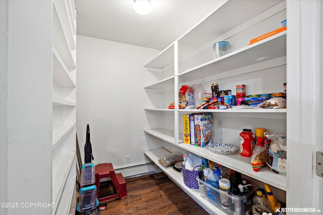 pantry with a baseboard heating unit