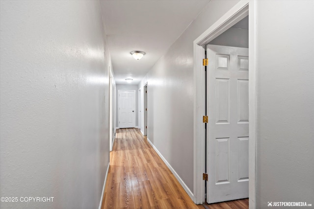 corridor featuring light hardwood / wood-style floors