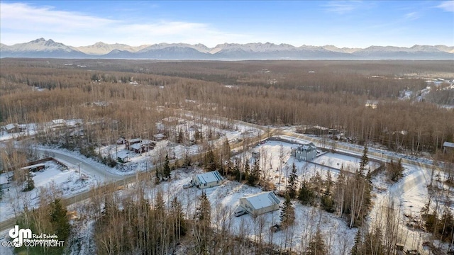 snowy aerial view featuring a mountain view