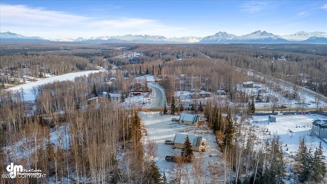 snowy aerial view featuring a mountain view