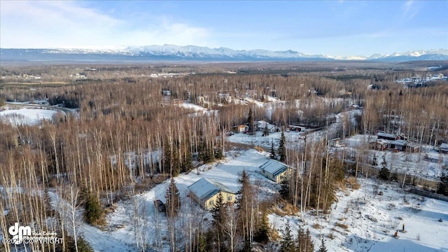 snowy aerial view featuring a mountain view