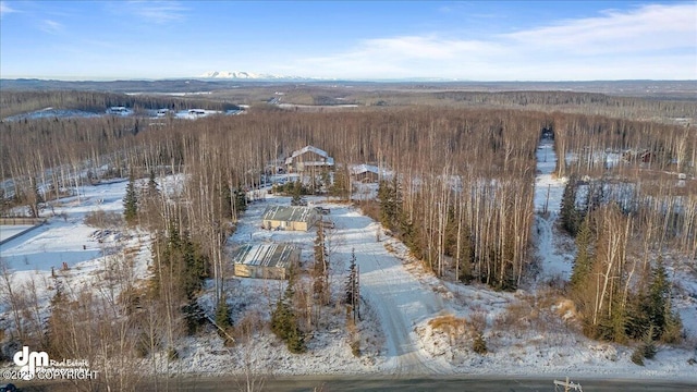 view of snowy aerial view