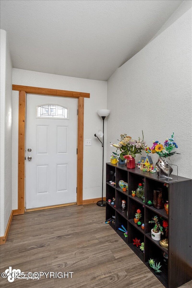 foyer entrance featuring hardwood / wood-style flooring