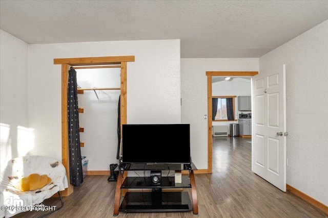 living room with hardwood / wood-style floors and a textured ceiling