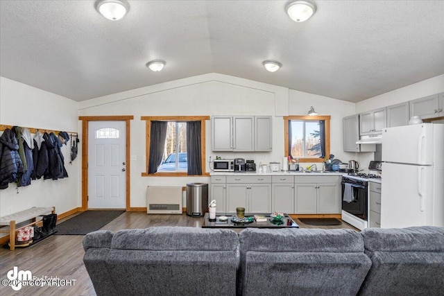 living room with vaulted ceiling, dark wood-type flooring, sink, and a textured ceiling