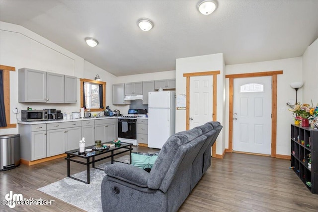 living room featuring dark wood-type flooring and vaulted ceiling