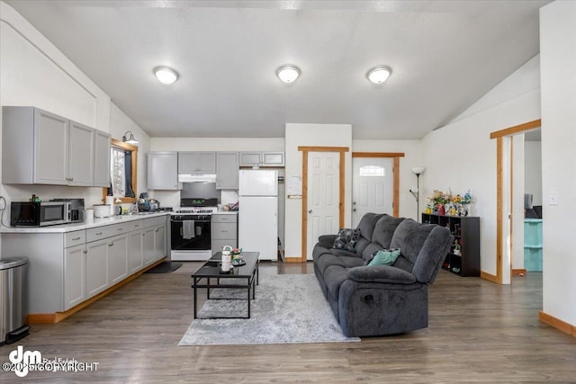 living room featuring hardwood / wood-style flooring and vaulted ceiling