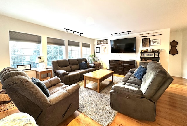 living room with hardwood / wood-style floors