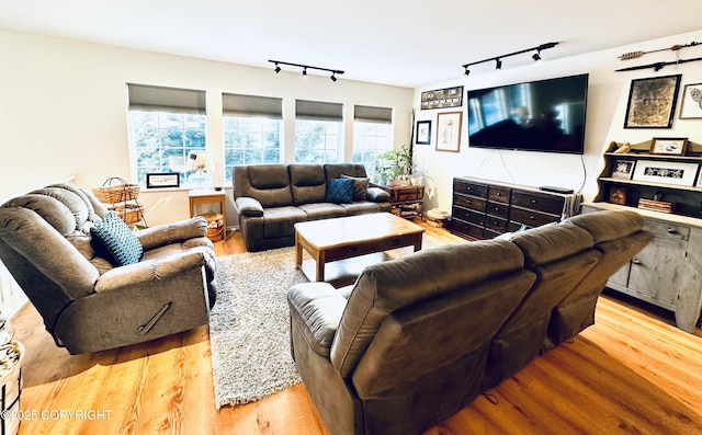 living room with rail lighting and light wood-type flooring