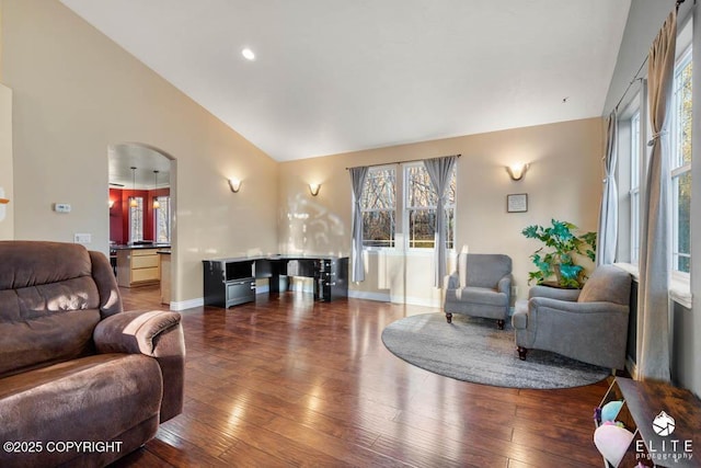 living room with high vaulted ceiling and dark hardwood / wood-style flooring