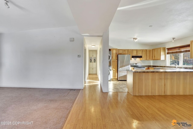 kitchen with stainless steel appliances, lofted ceiling, light wood-style floors, a peninsula, and under cabinet range hood