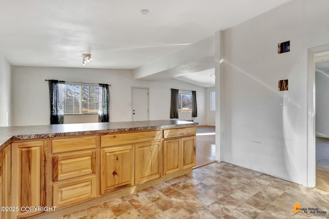 kitchen featuring vaulted ceiling and a wealth of natural light