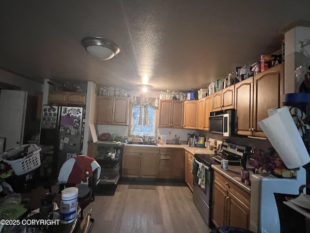 kitchen with appliances with stainless steel finishes, sink, and light wood-type flooring