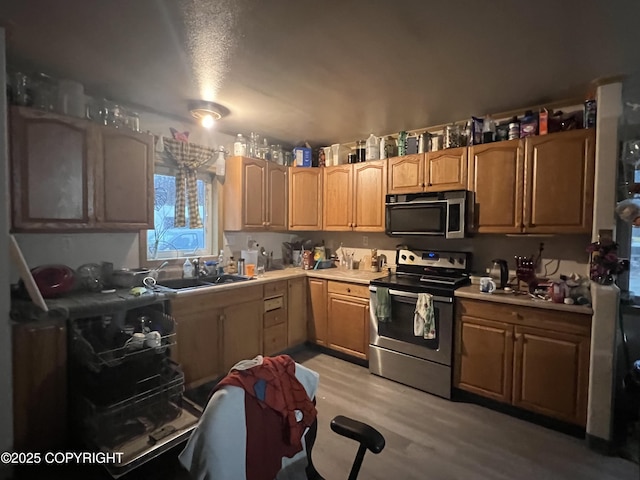 kitchen featuring appliances with stainless steel finishes, light hardwood / wood-style floors, and sink