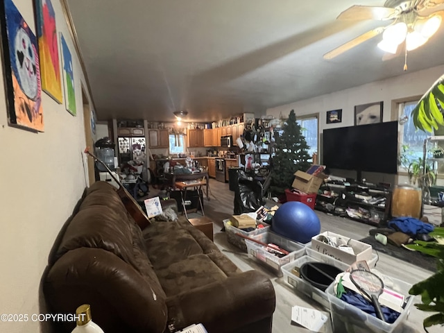 living room featuring ceiling fan