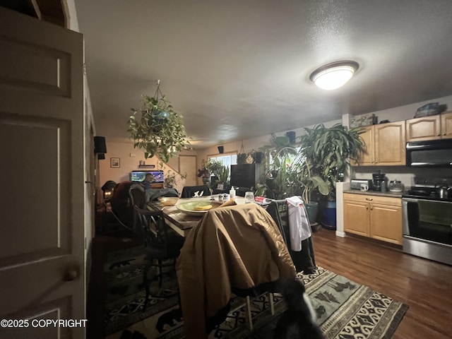 kitchen featuring dark hardwood / wood-style flooring, light brown cabinetry, and stainless steel stove