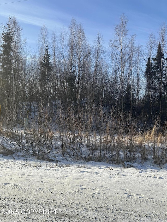 4633 S Preston Hills Dr, Wasilla AK, 99654 land for sale