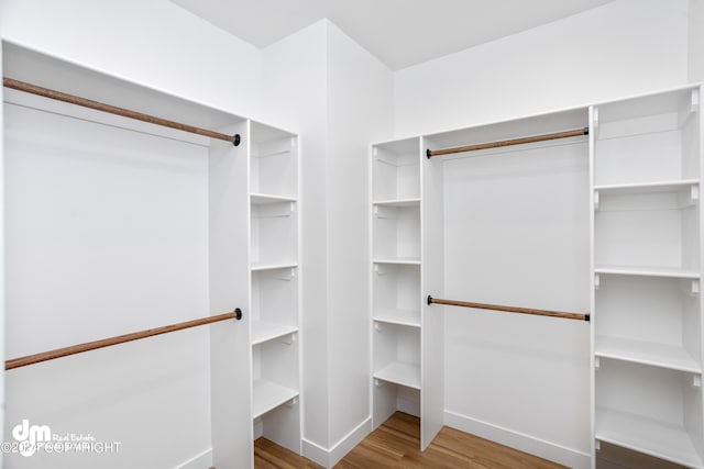 walk in closet featuring hardwood / wood-style flooring