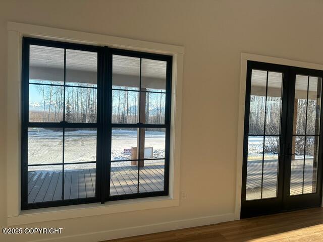 doorway featuring hardwood / wood-style flooring and a wealth of natural light