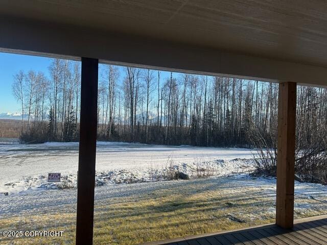 view of yard covered in snow