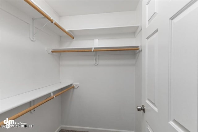 view of spacious closet