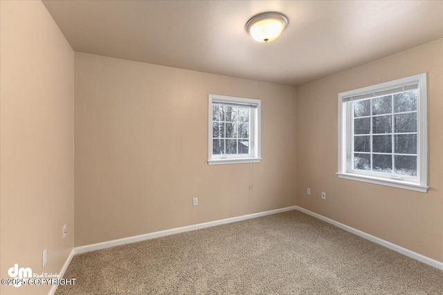 spare room with plenty of natural light and carpet