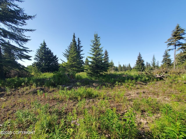 17537 Chefornak St, Ninilchik, AK 99639