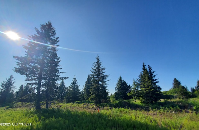 17537 Chefornak St, Ninilchik, AK 99639