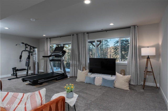 workout room with a healthy amount of sunlight and carpet flooring