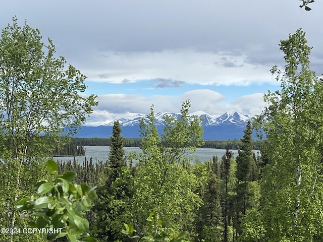 water view with a mountain view